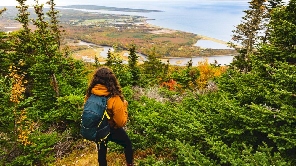Acadian Trail – Cape Breton Highlands National Park